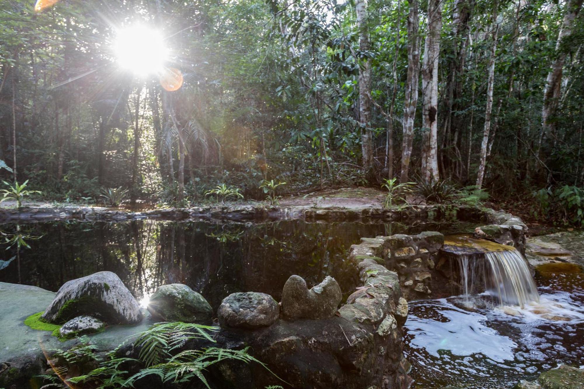 Amazon Ecopark Jungle Lodge Манаус Экстерьер фото