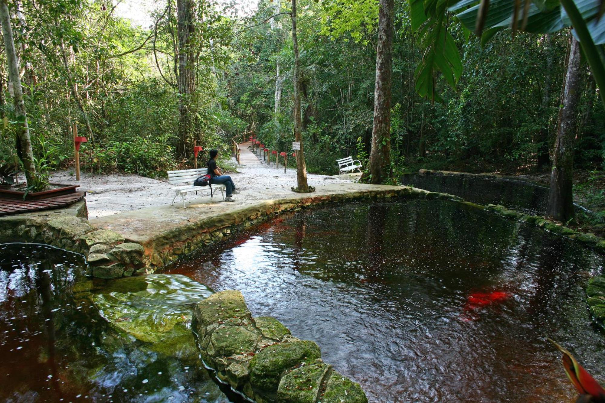 Amazon Ecopark Jungle Lodge Манаус Экстерьер фото