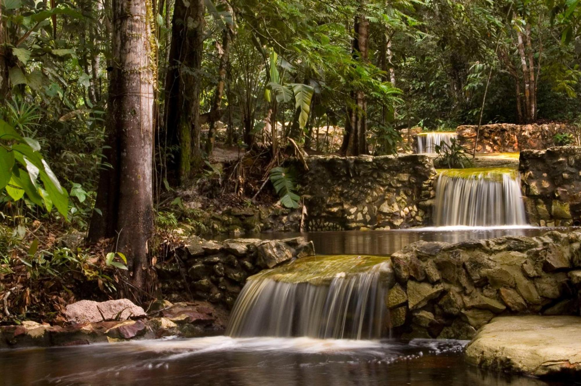 Amazon Ecopark Jungle Lodge Манаус Экстерьер фото