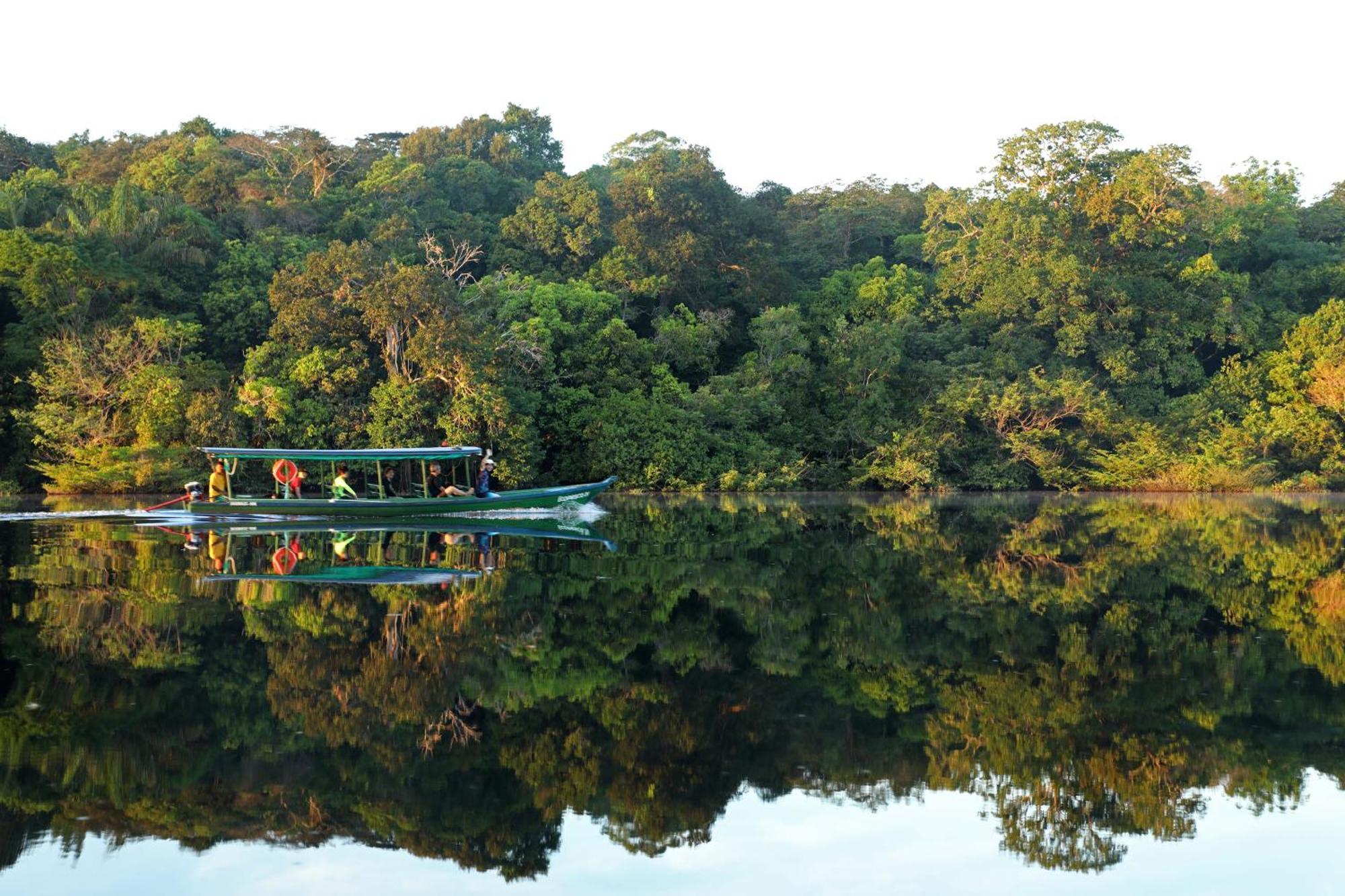 Amazon Ecopark Jungle Lodge Манаус Экстерьер фото