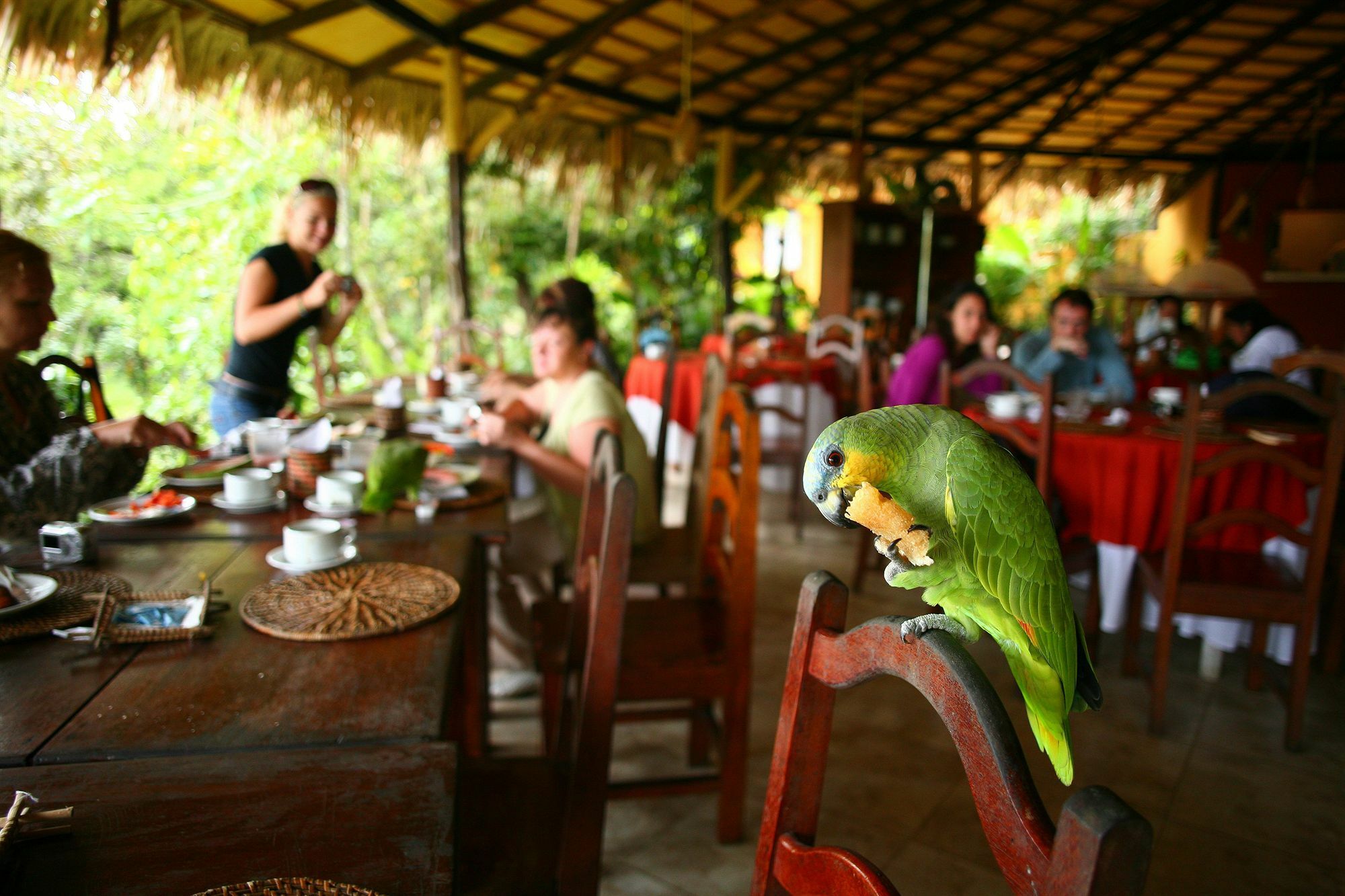 Amazon Ecopark Jungle Lodge Манаус Экстерьер фото